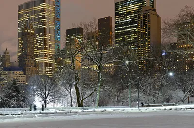 В Нью-Йорк возвращается снежная погода - ForumDaily