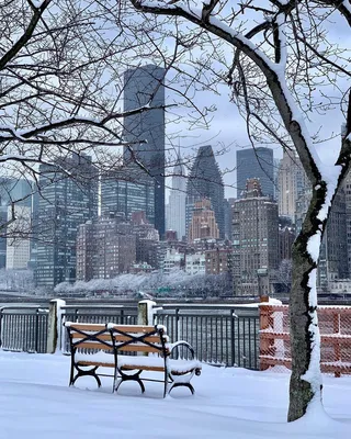 В Нью-Йорке наступила настоящая зима (227499) | News.lt