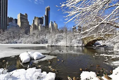 Путешествие-Жизнь - Зима в Нью-Йорке. | Facebook