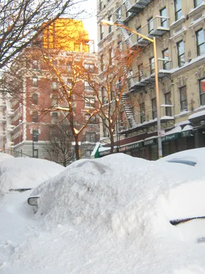 Зима В Нью Йорке Фото фотографии