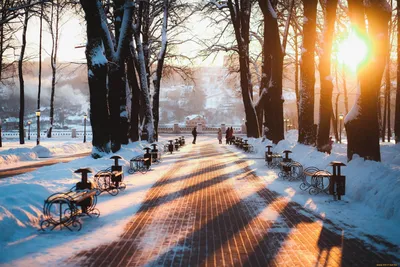 Зима в парке фото фотографии