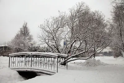 Зима в парке — Teletype