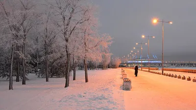 Зима в парке (41 фото) - 41 фото