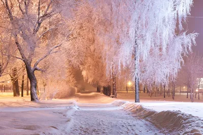 Зимний вечер в парке 300-летия Санкт-Петербурга — Фото №1352264