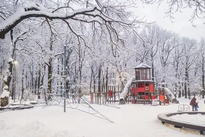 Зима в парке «Дубки»