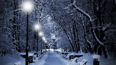 Как красиво! Смотрите, как выглядит Лошицкий парк зимой - CityDog.io