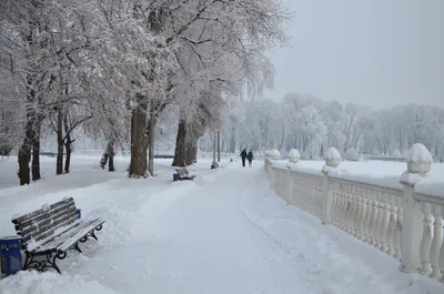 Зимний парк холодный и солнечный Зимой в парке мало людей Вечером в зимнем  парке Стоковое Фото - изображение насчитывающей зима, природа: 162692054