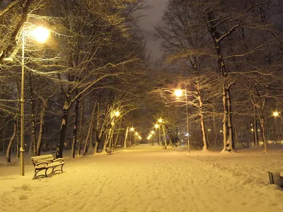 Картинки зима в парке (67 фото) » Картинки и статусы про окружающий мир  вокруг