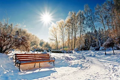 Файл:Парк имени Чекмана зимой. Хмельницкий. Фото 18.jpg — Викимедиа