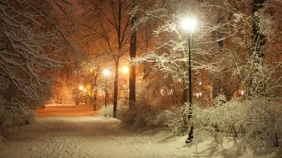 Зимой в Александровском парке: по пути к Петропавловке | Прогулки по городу