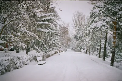 Зима, ноча в городе зимы, город зимы, зима в парке, снег Стоковое  Изображение - изображение насчитывающей холодно, снежности: 120094473