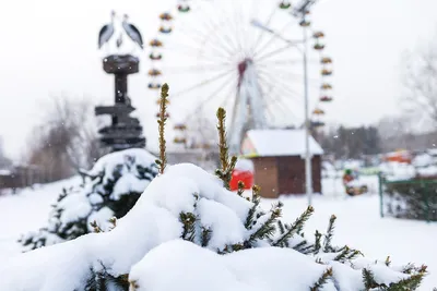 Санки и ватрушки под запретом: парк «Краснодар» напомнил горожанам правила  посещения зимой