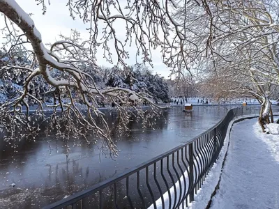 Зимние прогулки в парке «Монрепо» 2021