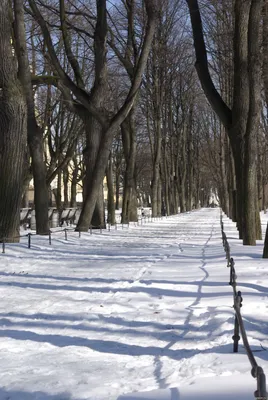 Мороз и солнце: в каких парках Москвы можно сделать красивые зимние  фотографии / Новости города / Сайт Москвы
