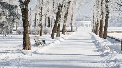 Зимний вечер в парке :: Владимир Ефимов – Социальная сеть ФотоКто