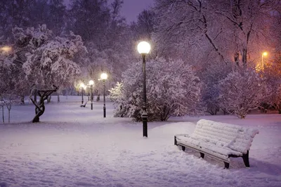 Зима в Краснодаре: в парке Галицкого появились продавцы снега