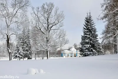 Ночью Заснеженный Городской Парк Зима — стоковые фотографии и другие  картинки Снег - Снег, Зима, Большой город - iStock
