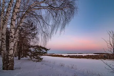 Как провести зиму в Московской области (Подмосковье) | Новости и статьи на  сегодня | 360°