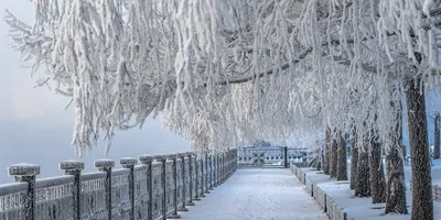 Зима в России | Пикабу