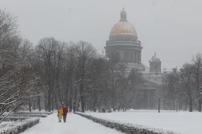 Предстоящая зима в России будет холоднее предыдущей - Новости Тулы и  области - MySlo.ru