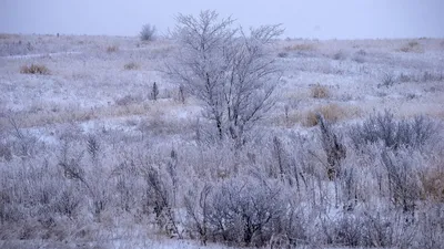 Эстетика зимы в россии | Winter scenery, Winter aesthetic, Night aesthetic