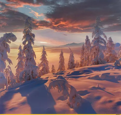 Синоптик рассказал, когда ждать климатическую зиму в центральной России -  YarNews.net