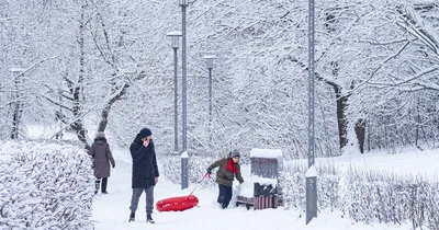 В каких городах России самые снежные зимы? Выяснили аналитики | Sobaka.ru