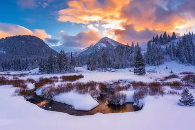 Зима в США в фотографиях | Дальневосточный визовый центр «ДальВиза»