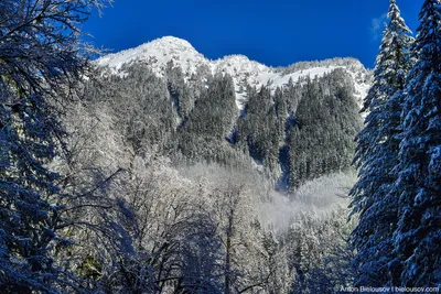 Зима В Glacier Park, Монтана, США Фотография, картинки, изображения и  сток-фотография без роялти. Image 33931071