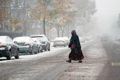 Зима в США – на США обрушились зимние штормы – 50 человек погибли в США от  непогоды – погода в США | OBOZ.UA