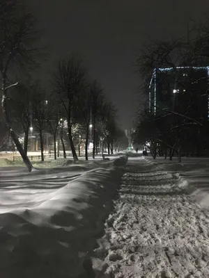 Фотообои Басов С. \"Зимний вечер в деревне\" в жанре Пейзаж с доставкой по  России