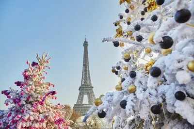 Где остановиться и чем заняться зимой во Франции, чтобы провести Рождество  с удовольствием | Путешественник в фургончике | Дзен