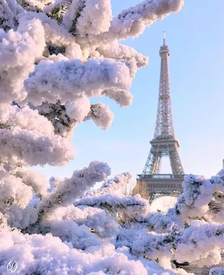 Восемь лучших зимних впечатлений во Франции | SLON