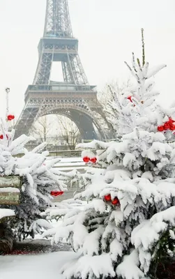 картинки : снег, зима, Франция, Лед, Жалюзи, Музей, Пирамида, Погода,  Ориентир, время года, городская площадь, каток 2601x1758 - - 446 - красивые  картинки - PxHere