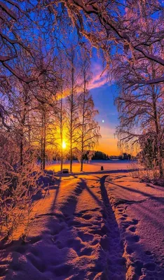 Зима закат фото фотографии