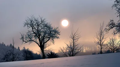 Зимнее солнцестояние 2023 | Декабрьское солнцестояние | Самый короткий день  в году 22 декабря | Star Walk