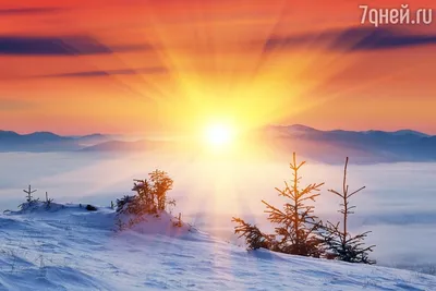 21 декабря – день зимнего солнцестояния | ВКонтакте