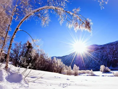 Наступает зимнее солнцестояние. Скоро световой день начнет увеличиваться |  Українські Новини