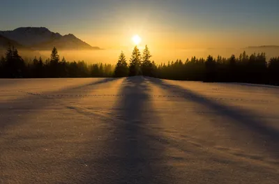 Зимнее солнцестояние в лесу с …» — создано в Шедевруме