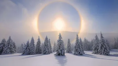 Зимнее солнцестояние: сегодня - самая длинная ночь в году