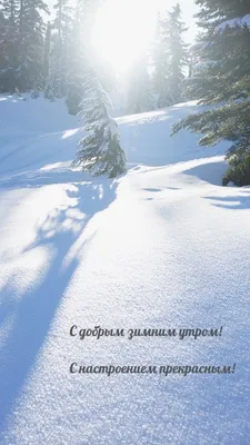 Доброе утро! #Хорошего дня! | TikTok