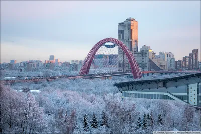 Зимняя Москва_Russian.news.cn