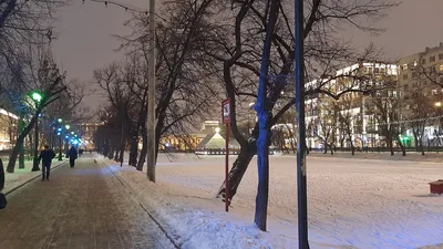 Москва на рассвете со стороны Крылатских холмов, редкие фотографии зимней  Москвы-2020 | Fotografersha | Дзен