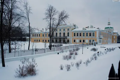 Зима в Тверской области завершится оттепелью, а март начнётся с морозов