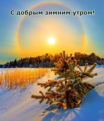 Когда и как отмечаются зимние праздники в России: народные и календарные —  Яндекс Путешествия