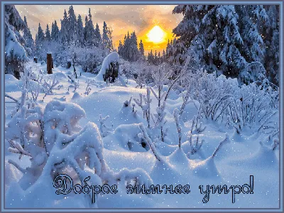 С добрым зимним утром | Картины с изображением природы, Зимние сцены, Зимние  деревья