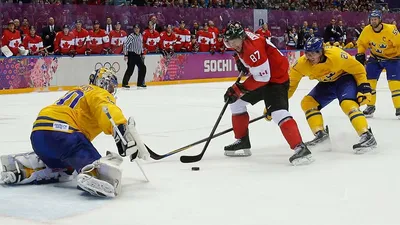 Зимние виды спорта\" |РДШ — Российское движение школьников