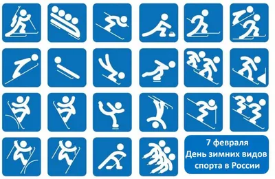 Баринова Татьяна. Сообщество иллюстраторов | Иллюстрация зимние виды спорта.  | Зимние виды спорта, Спорт, Лэпбук