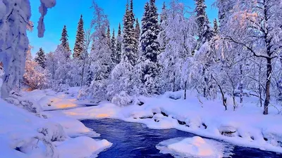 Самые красивые зимние картинки (100 фото) • Прикольные картинки и позитив