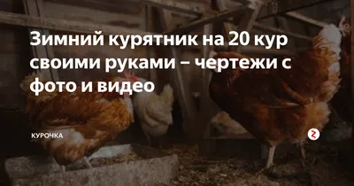 Купить курятник зимний \"Люкс\" (Большой) с хозблоком по доступной цене -  Магазин курятников от Додонова